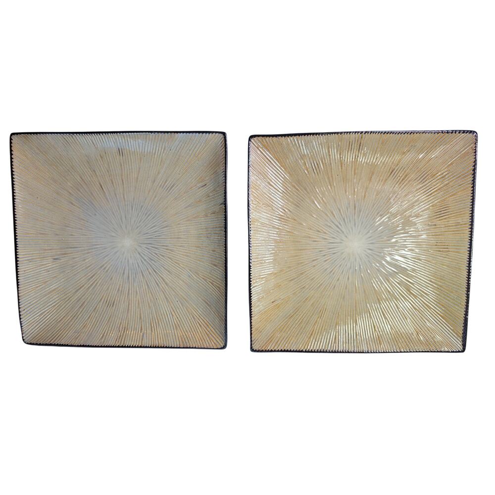 JOSEPH ABBOUD Ventana Light Dark Brown Square 11" Dinner Plates Set of 2